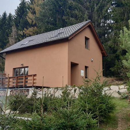 Chata Ostruzina 9 Lipno nad Vltavou Luaran gambar