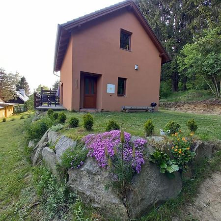 Chata Ostruzina 9 Lipno nad Vltavou Luaran gambar